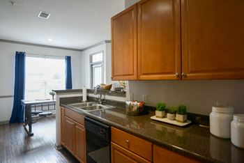 Kitchen Counter at The Shallowford, Chattanooga